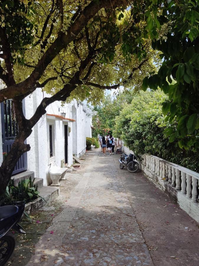 Cabana 52 En La Aldea Doradal Santorini Colombiano ภายนอก รูปภาพ
